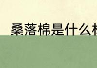 桑落棉是什么材质 桑落棉材质介绍
