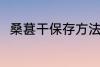 桑葚干保存方法 储存桑椹干的方法