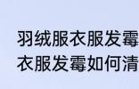 羽绒服衣服发霉怎么洗掉黑斑 羽绒服衣服发霉如何清洗