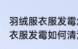 羽绒服衣服发霉怎么洗掉黑斑 羽绒服衣服发霉如何清洗