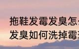 拖鞋发霉发臭怎么洗掉霉斑 拖鞋发霉发臭如何洗掉霉斑