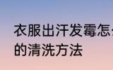 衣服出汗发霉怎么洗掉 衣服出汗发霉的清洗方法