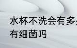 水杯不洗会有多少细菌 水杯用久了会有细菌吗