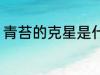 青苔的克星是什么 青苔的克星是何物