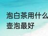 泡白茶用什么壶泡最好 泡白茶用哪个壶泡最好