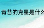 青苔的克星是什么 青苔的克星是何物