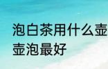 泡白茶用什么壶泡最好 泡白茶用哪个壶泡最好