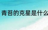 青苔的克星是什么 青苔的克星是何物