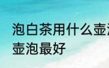 泡白茶用什么壶泡最好 泡白茶用哪个壶泡最好