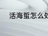 活海蜇怎么处理 活海蜇如何处理