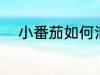 小番茄如何清洗 小番茄怎么清洗