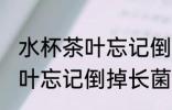 水杯茶叶忘记倒掉长菌怎么办 水杯茶叶忘记倒掉长菌如何清理