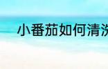 小番茄如何清洗 小番茄怎么清洗
