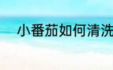 小番茄如何清洗 小番茄怎么清洗