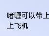 啫喱可以带上飞机吗 啫喱是否可以带上飞机