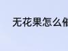 无花果怎么催熟 无花果如何催熟