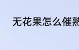 无花果怎么催熟 无花果如何催熟