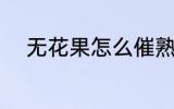无花果怎么催熟 无花果如何催熟