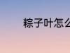 粽子叶怎么煮 怎么煮粽子叶