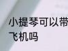 小提琴可以带上飞机吗 小提琴能带上飞机吗