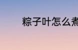 粽子叶怎么煮 怎么煮粽子叶