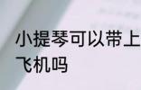小提琴可以带上飞机吗 小提琴能带上飞机吗