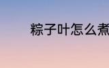 粽子叶怎么煮 怎么煮粽子叶