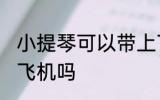 小提琴可以带上飞机吗 小提琴能带上飞机吗