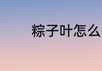 粽子叶怎么煮 怎么煮粽子叶