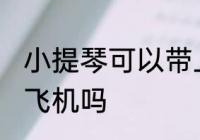 小提琴可以带上飞机吗 小提琴能带上飞机吗
