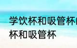 学饮杯和吸管杯的区别 如何区别学饮杯和吸管杯