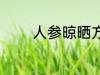 人参晾晒方法 人参晾晒要点