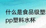 什么是食品级塑料水杯 什么是食品级pp塑料水杯