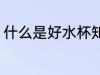 什么是好水杯知乎 哪些材质的杯子好