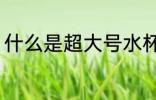 什么是超大号水杯 超大号水杯是什么