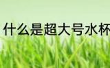 什么是超大号水杯 超大号水杯是什么