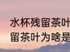 水杯残留茶叶为什么是绿色的 水杯残留茶叶为啥是绿色的呢