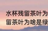水杯残留茶叶为什么是绿色的 水杯残留茶叶为啥是绿色的呢