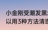 小金刚受潮发黑怎么办 小金刚发黑可以用3种方法清理