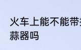 火车上能不能带搅蒜器 火车上能带搅蒜器吗