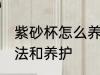 紫砂杯怎么养才正确 紫砂杯的使用方法和养护