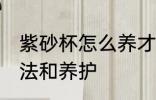紫砂杯怎么养才正确 紫砂杯的使用方法和养护