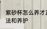 紫砂杯怎么养才正确 紫砂杯的使用方法和养护