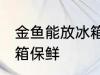 金鱼能放冰箱保鲜吗 金鱼能不能放冰箱保鲜