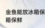 金鱼能放冰箱保鲜吗 金鱼能不能放冰箱保鲜