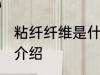 粘纤纤维是什么面料 粘纤纤维是面料介绍