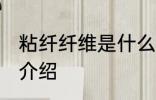 粘纤纤维是什么面料 粘纤纤维是面料介绍
