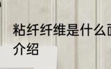 粘纤纤维是什么面料 粘纤纤维是面料介绍