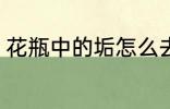 花瓶中的垢怎么去 花瓶中的垢如何去