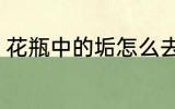 花瓶中的垢怎么去 花瓶中的垢如何去
